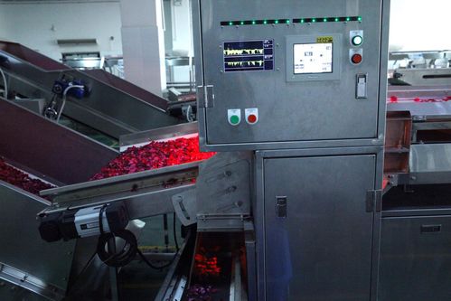 全面革新，智造美味 探秘嘉華食品花工廠技術升級之道